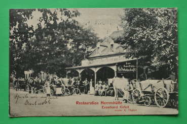 AK Nürnberg / 1908 / Restauration Herrenhütte / Garten Wirtschaft / Pferde Fuhrwerke Wirt Kellner Fuhrleute